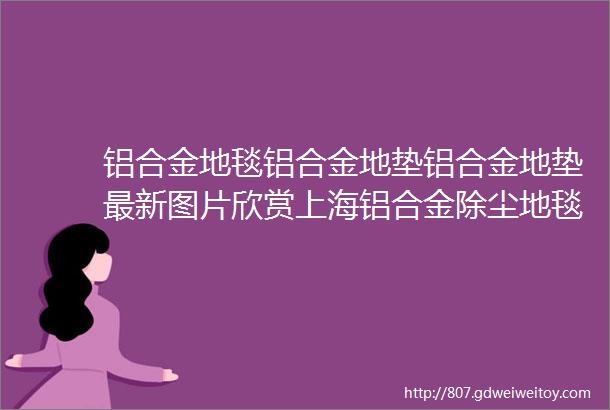 铝合金地毯铝合金地垫铝合金地垫最新图片欣赏上海铝合金除尘地毯重庆铝合金除尘地毯地毯厂